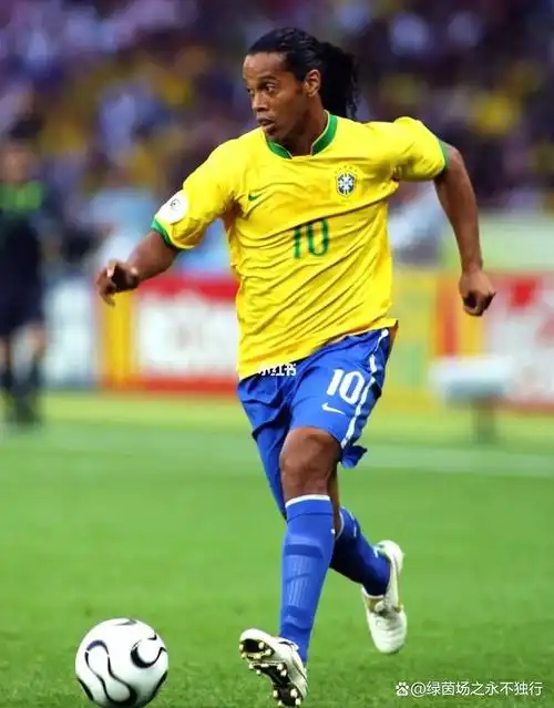 整体战术素 整体战术素